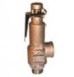 High_Lift_Type_Safety_Relief_Valve.jpg